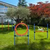 Pawhut Agility set voor honden, slalomtraining, Productafbeelding-voorbeeld 2