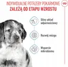 Royal Canin Medium Junior - 4 kg Produktbild-Vorschau 5