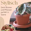 Pflanzenroller Rund Rollbrett Pflanzen Untersetzer Produktbild-Vorschau 3