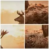 Bild auf Leinwand - Leinwandbild - Hirsch Natur Feld - Produktbild-Vorschau 8
