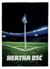 Hertha BSC Fleecedecke Eckfahne Produktbild-Vorschau 2