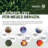 Glaskaraffe 2 Liter mit Deckel und feinem Sieb - stilvolle Produktbild-Vorschau 7