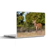 MuchoWow® Laptop Aufkleber Sticker Cover Tiere - Hirsche - Produktbild-Vorschau 1