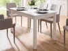 Esszimmertisch Holztisch Küchentisch Auszugstisch Tisch Produktbild-Vorschau 2