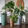 KADAX Blumentopf mit Holzspänen "Latina", Blumentopfschutz, Produktbild-Vorschau 9
