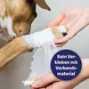 Canosept®: Gel para el cuidado de heridas para perros, 20 Vista previa de la imagen del producto 5