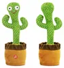 Cactus Danzante Giocattolo Interattivo Suono Luce Tiktok 30 Anteprima dell’immagine prodotto 6