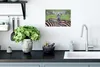 MuchoWow® Poster Auffälliges Zebra 30x20 cm - Plakate - Produktbild-Vorschau 3