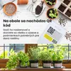 Green Harvest Súprava semien zeleniny – 20 druhov, 20 Náhľad obrázku produktu 7