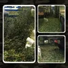 Tarnnetz 2x5 M Woodland Camouflage 10 m² Wasserdicht Für Produktbild-Vorschau 6