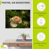 ARTland Poster Rosa Rose Größe: 40x30 cm Produktbild-Vorschau 2