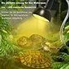 Schildkröten-Wärmelampe Reptilien-Terrarium-Lampe 25 W 50 W Produktbild-Vorschau 6