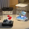 Aquarium Starterset - Mini Schreibtisch-Aquarium rechteckig Produktbild-Vorschau 7