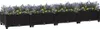 A long, black, rectangular planter box filled with purple and yellow flowers, set against a white background. Náhled obrázku produktu