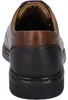 JOSEF SEIBEL Alastair 01 | Scarpa bassa da  Uomo | marrone Anteprima dell’immagine prodotto 4