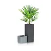 Two planters, one tall and one short, with a plant in the tall planter, on a white background. Produktbild-Vorschau