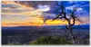 Glasbilder 140x70 Wandbild Druck auf Glas Baum Landschaft Produktbild-Vorschau 1