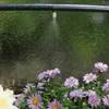 Miracle Mist - Nebelsprüher-Gartenset - 10 Meter Produktbild-Vorschau 4