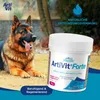 VITAR Veterinae ArtiVit Forte 70 g kĺbový prášok pre psy a Náhľad obrázku produktu 6