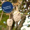 Bird feeders made of pine cones filled with birdseed hanging from tree branches. Produktbild-Vorschau