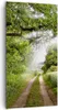 Bild auf Leinwand - Leinwandbild - Pfad Natur Wald Grün - Produktbild-Vorschau 1