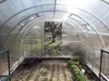 Skleník "Optima" 2,5x8 m z oceli, s 6mm polykarbonátem Náhled obrázku produktu 6