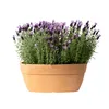 BAMA Blumentopf Ellittica 80 cm Produktbild-Vorschau 3