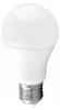 A white LED light bulb with a silver screw base, isolated on a white background. Podgląd zdjęcia produktu