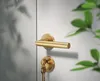 A close-up shot of a gold door handle and keyhole on a white door, with blurred green leaves in the background. Produktbild-Vorschau