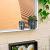 Two small potted cacti sit on a white shelf in front of a large framed picture of sand dunes. A green vine hangs down from the top right. Produktbild-Vorschau