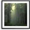 Gerahmtes Poster - Schwarzer Rahmen - Wald Nebel Baum - Produktbild-Vorschau 1