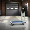 tectake® Plattformwagen Ladefläche 73 x 47 cm Produktbild-Vorschau 9