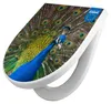 WC Sitz mit Absenkautomatik D Form Motiv Pfau [TDW3 10500] Produktbild-Vorschau 1