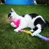Nobby Katzenwedel mit Plüsch und Feder Stab: 54 cm, Plüsch Produktbild-Vorschau 2