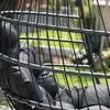 HOME DELUXE Hängesessel LOMA – Faltbar, 1 Sitzer in Schwarz Produktbild-Vorschau 3