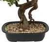 Künstlicher Bonsai-Baum POLIN, schwarze Keramikschale, 72 x Produktbild-Vorschau 4