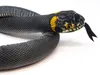 A close-up studio shot of a stuffed toy snake. Produktbild-Vorschau