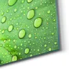 DEQORI Hybrid Leinwand Bild 90x60 cm 'Grüne Juwelen' Produktbild-Vorschau 5