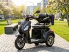 E-Seniorenmobil Denia, Lithium-Akku, 3-Rad, 1000 Watt, Produktbild-Vorschau 9