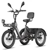 FAFREES F20 Mate II Rower elektryczny - Silnik 250W Podgląd zdjęcia produktu 1