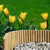 Yellow tulips are blooming behind a curved bamboo border filled with pebbles. Produktbild-Vorschau