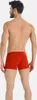 Teyli 3-pack: bavlněné pánské boxerky Levi Male 801-3 Náhled obrázku produktu 4