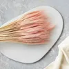 Getrocknete Triticale Pflanzen in Rosa, ca. 60 cm lang, ca. Produktbild-Vorschau 6