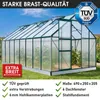 BRAST Gewächshaus Aluminium mit Fundament | 490x250x205cm | Produktbild-Vorschau 8