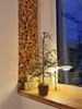 Bloomingville, sztuczna roślina cedr VITA, zielona | Podgląd zdjęcia produktu 2