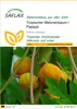 SAFLAX - Tropischer Melonenbaum / Papaya - Carica papaya - Produktbild-Vorschau 1