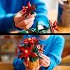 LEGO Botanicals Vánoční hvězda, Sada na stavění, 18 Náhled obrázku produktu 16
