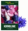 Kornblume Gefüllte Mischung Samen - Centaurea cyanus - Produktbild-Vorschau 1