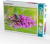 CALVENDO Puzzle Männliches Knabenkraut 2000 Teile Puzzle Produktbild-Vorschau 2