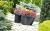 Two dark gray planters with red and yellow plants are placed on a gravel path surrounded by various green plants and trees. Náhľad obrázku produktu